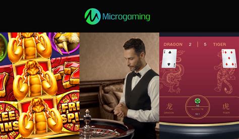 microgaming software|microgaming software review.